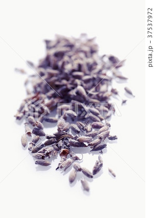 Dried lavender flowers 37537972
