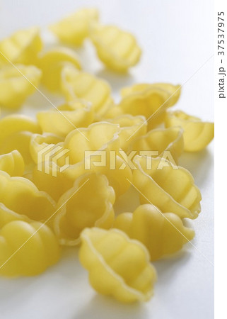 Conchiglie pasta 37537975