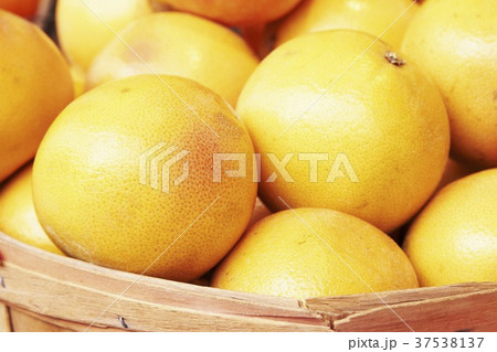 Basket of Florida Grapefruit 37538137