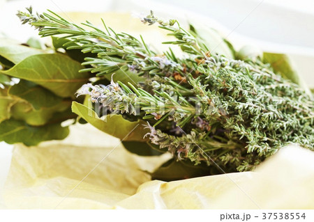 Bay Leaf and Rosemary Bouquet with Flowering Rosemary Bay Leaf and Rosemary Bouquet with Flowering Rosemary 37538554