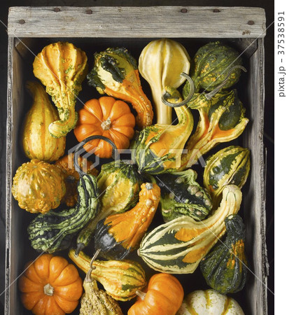 Assorted Gourds in a Crate; From Above 37538591