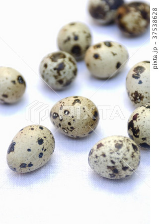 Several quails' eggs Several quails' eggs 37538628