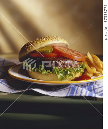 Hamburger with Lettuce, Tomato and Pickle, Fries 37538775