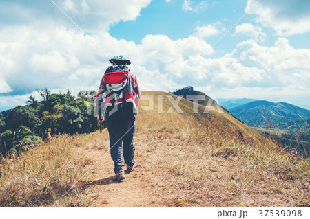 Tourist trail hiking in the forest Traveler Man Tourist trail hiking in the forest Traveler Man 37539098