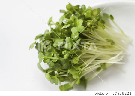 Fresh cress Fresh cress 37539221