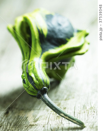 A green squash 37539348