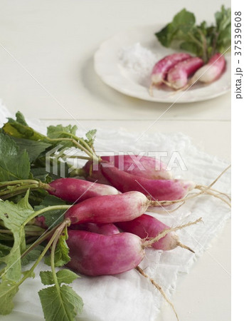 A Bunch of French Breakfast Radishes on a White Cloth A Bunch of French Breakfast Radishes on a White Cloth 37539608