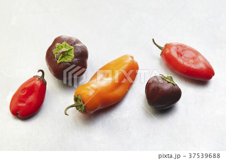 Assorted Fresh Peppers on White Assorted Fresh Peppers on White 37539688