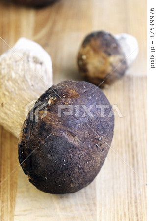 Fresh cep mushrooms Fresh cep mushrooms 37539976