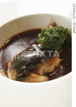 Dense juice giant salamander 37540124