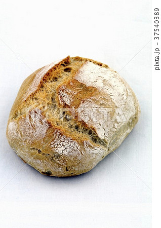 Ciabatta Ciabatta 37540389