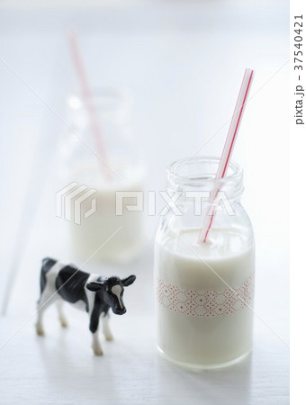 Two Glasses of Milk with Straws; Cow Figurine 37540421