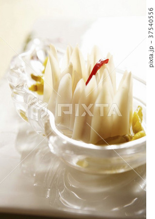 Duck gristle 37540556