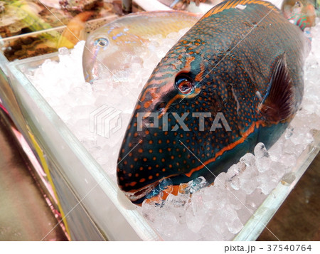 沖縄の市場:イラブチャー 沖縄の市場:イラブチャー 37540764