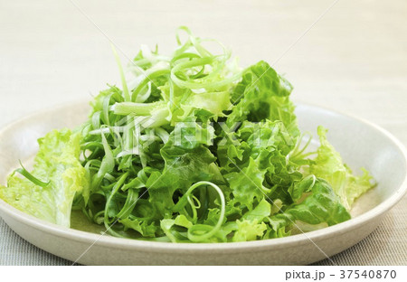 Green Salad with Vinaigrette 37540870