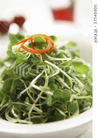 Salad vegetable shoots 37540900