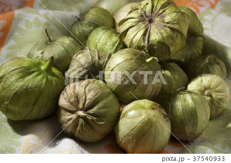 Many Fresh Tomatillos Many Fresh Tomatillos 37540933