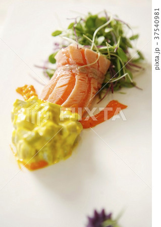 Salmon Salmon 37540981