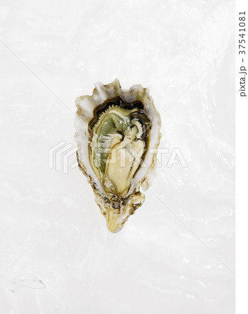 A fresh oyster 37541081