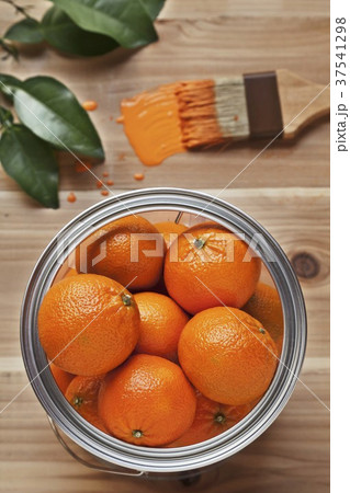Oranges in a Paint Can with a Paint Brush with Orange Paint 37541298