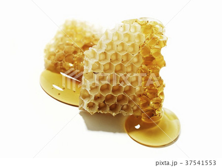 Honeycomb with Honey from Santa Barbara Honey Co. 37541553