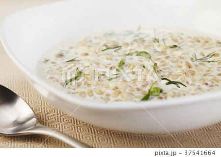 Creamy Barley Soup Creamy Barley Soup 37541664