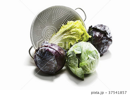 Different varieties of cabbage Different varieties of cabbage 37541857