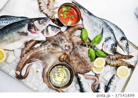 Fresh fish, octopus and giant prawns 37541899