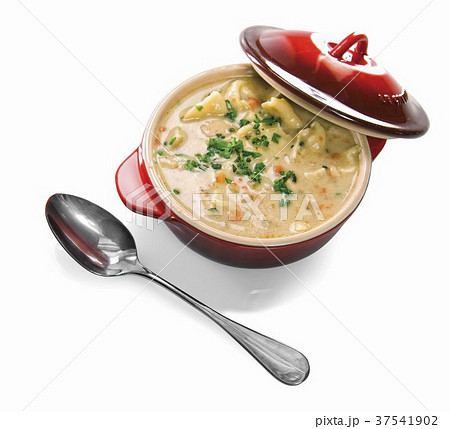 Pot of Chicken and Dumpling Soup; White Background; Spoon 37541902