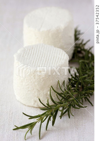Crottin de Cavignole (French goat's cheese) Crottin de Cavignole (French goat's cheese) 37542352