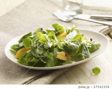 Lamb's leaf lettuce with orange wedges Lamb's leaf lettuce with orange wedges 37542359