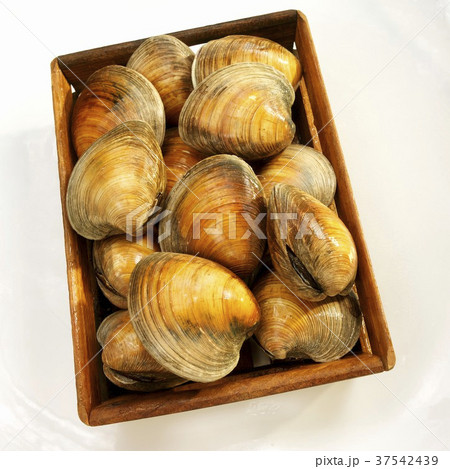Crate of Big Neck Clams; From Above 37542439
