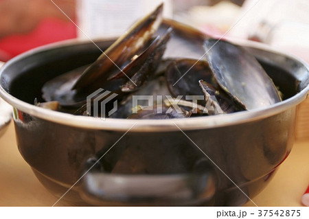 Steamed mussels 37542875