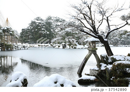 冬の兼六園 37542890