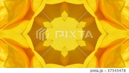 万華鏡（花） 37543478