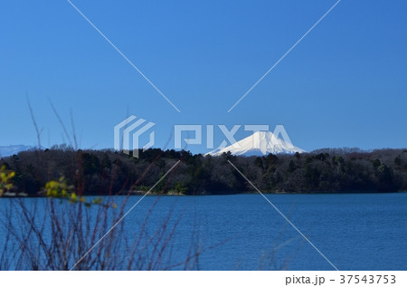 東京都 狭山公園から見える富士山 東京都 狭山公園から見える富士山 37543753