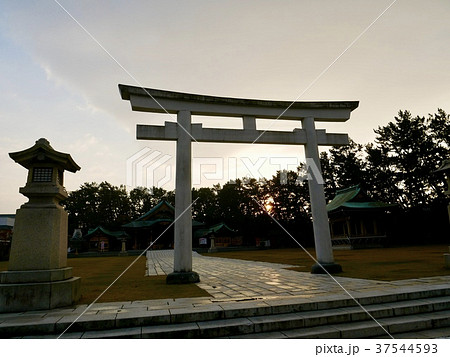 新潟 神社 新潟 神社 37544593