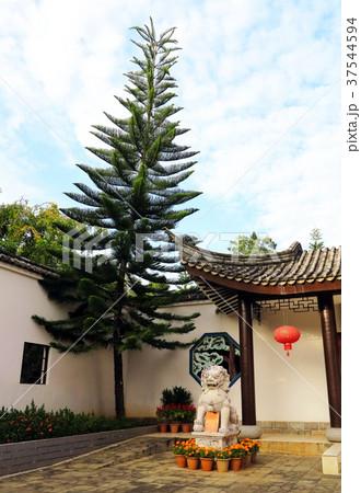 beautiful red lanterns is the Chinese traditional beautiful red lanterns is the Chinese traditional 37544594