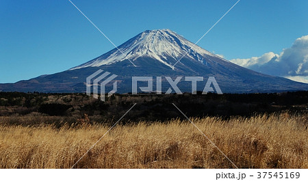 新年朝霧高原からの富士 37545169