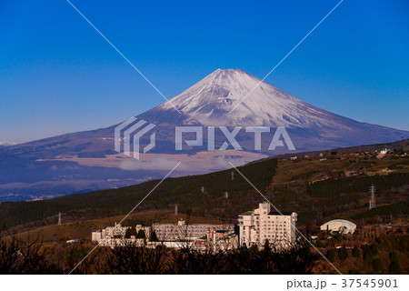 箱根からの富士山 箱根からの富士山 37545901