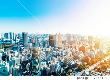 tokyo city skyline bird aerial view in japan tokyo city skyline bird aerial view in japan 37546180