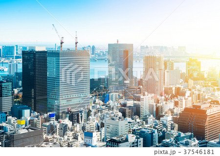 tokyo city skyline bird aerial view in japan 37546181