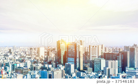 tokyo city skyline bird aerial view in japan 37546183
