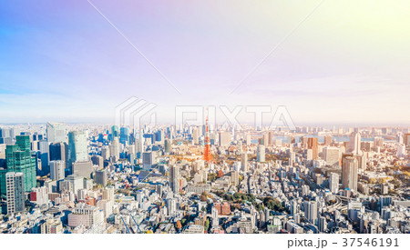 tokyo city skyline bird aerial view in japan tokyo city skyline bird aerial view in japan 37546191