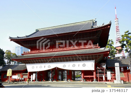 東京 増上寺 東京 増上寺 37546317