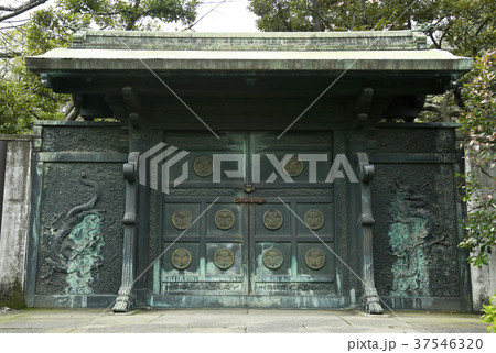 東京 増上寺 東京 増上寺 37546320