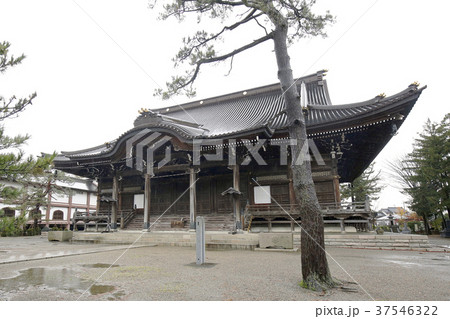 法華総本山 本成寺赤門 法華総本山 本成寺赤門 37546322