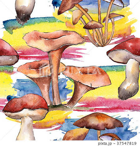 Mushrooms healthy food pattern in a watercolor 37547819