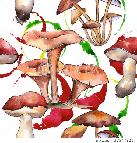 Mushrooms healthy food pattern in a watercolor 37547820