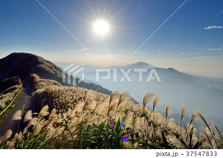 アジア人 アジアン アジア風 37547833